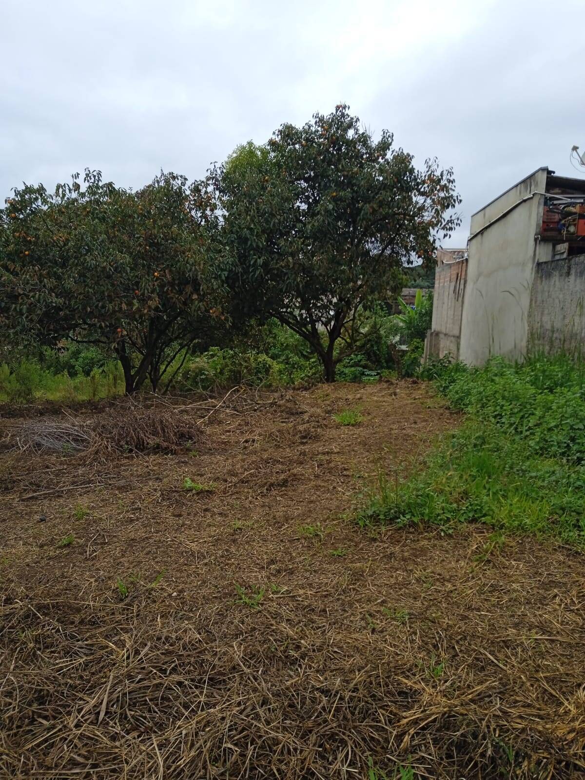 Terreno, 4379 m² - Foto 4