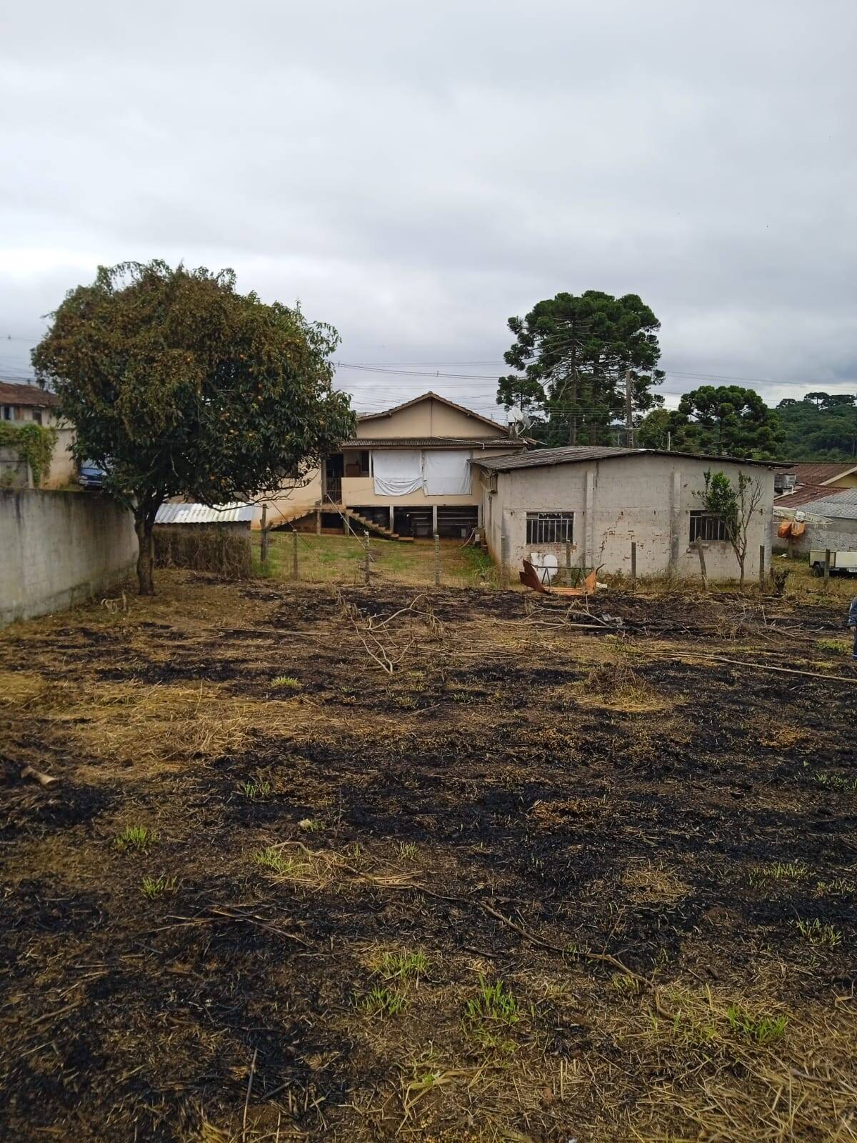 Terreno, 4379 m² - Foto 5