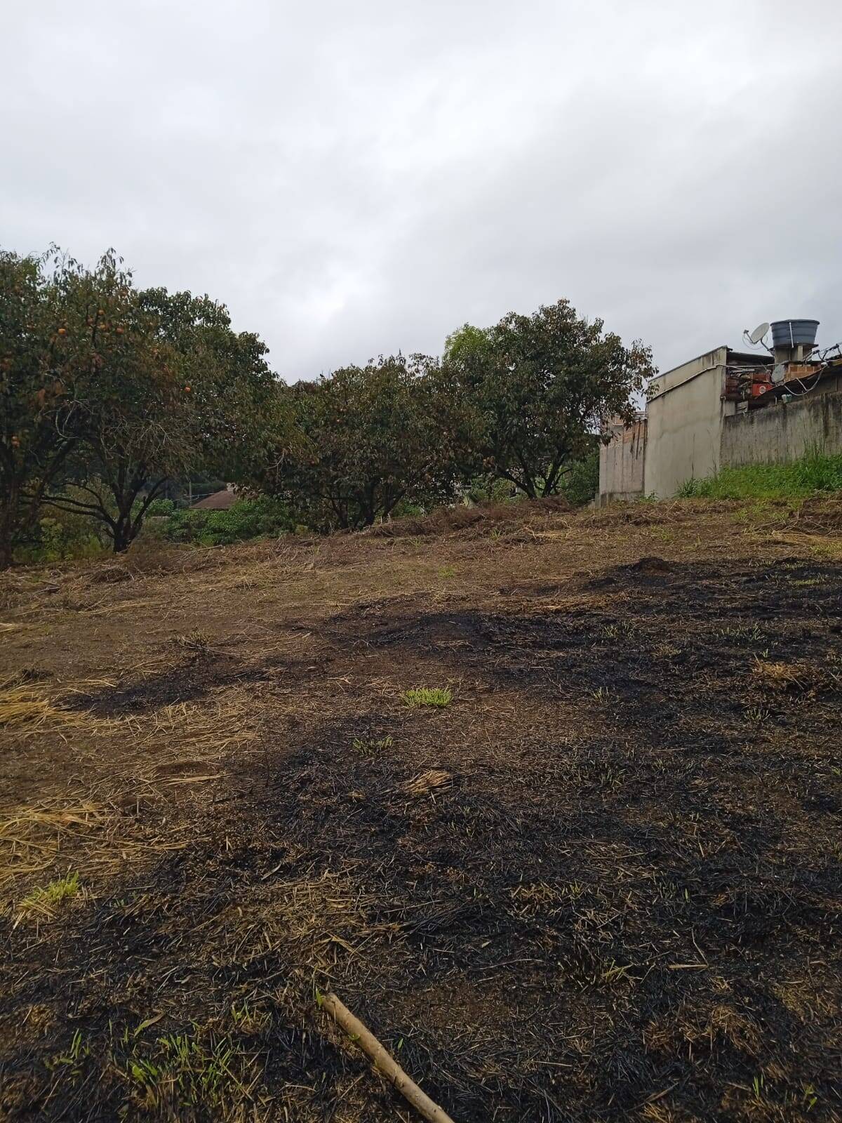 Terreno, 4379 m² - Foto 7