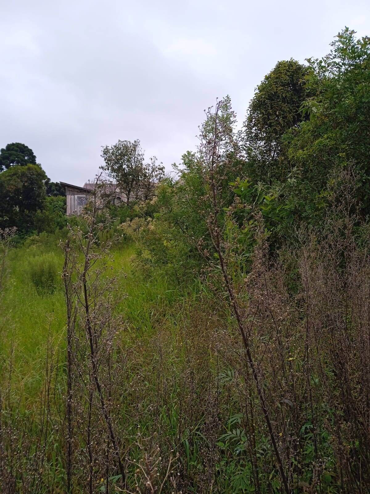 Terreno, 4379 m² - Foto 8