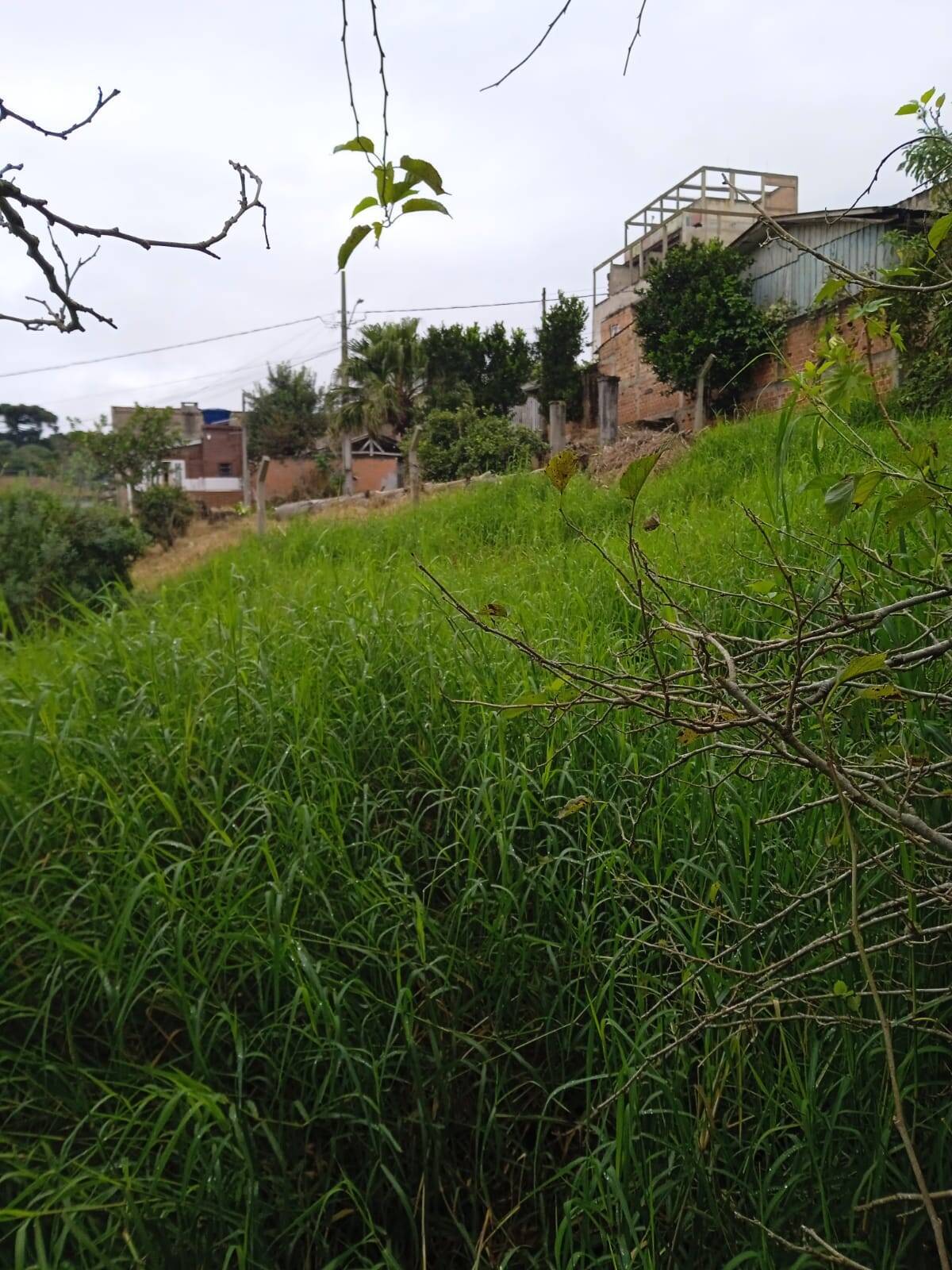 Terreno, 4379 m² - Foto 9