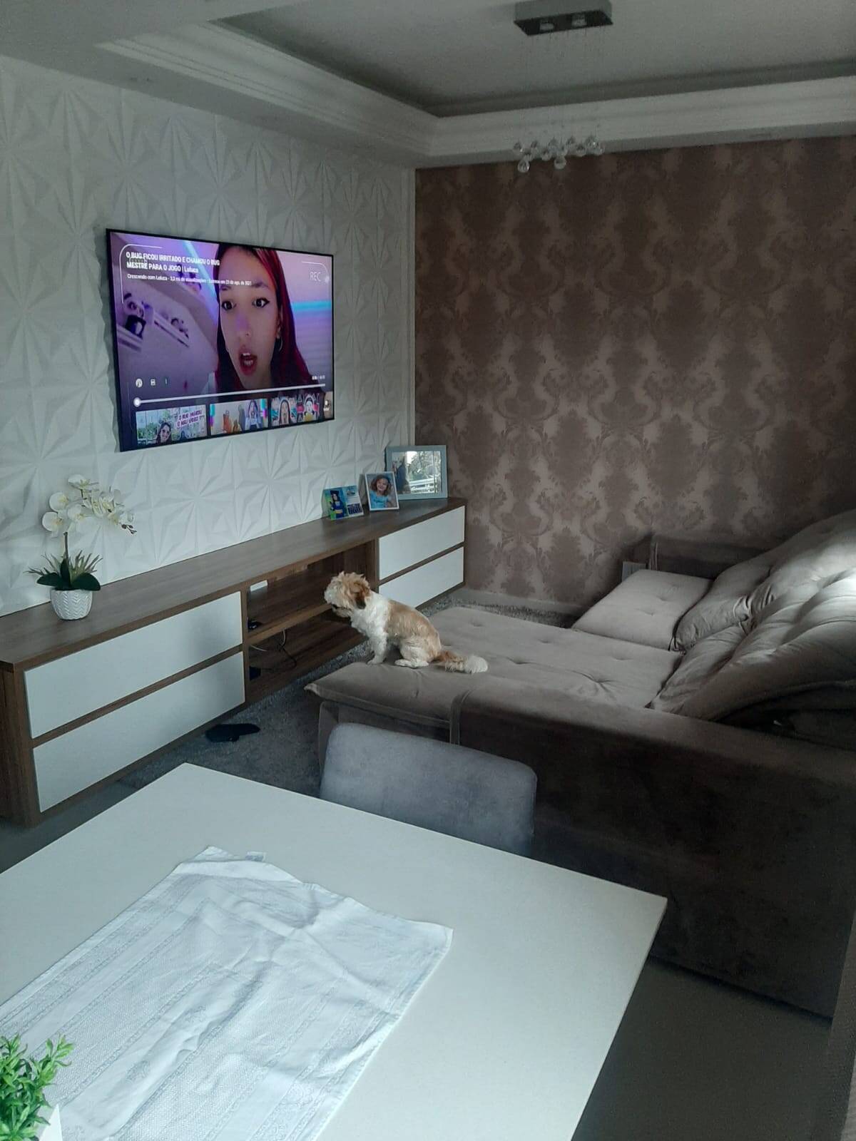 Terreno, 200 m² - Foto 8