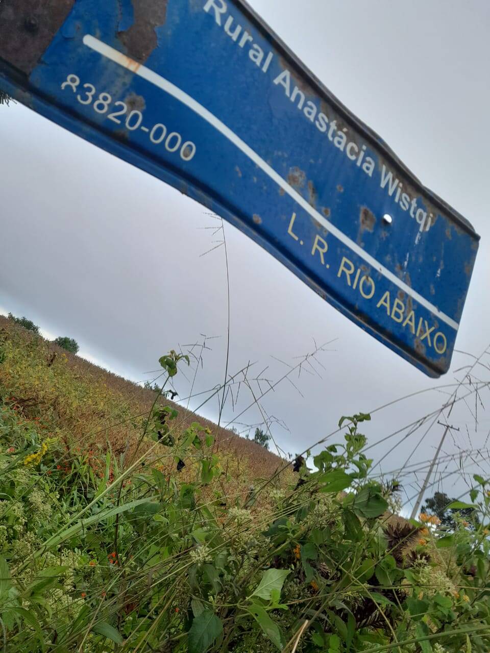 Terreno, 2 hectares - Foto 18