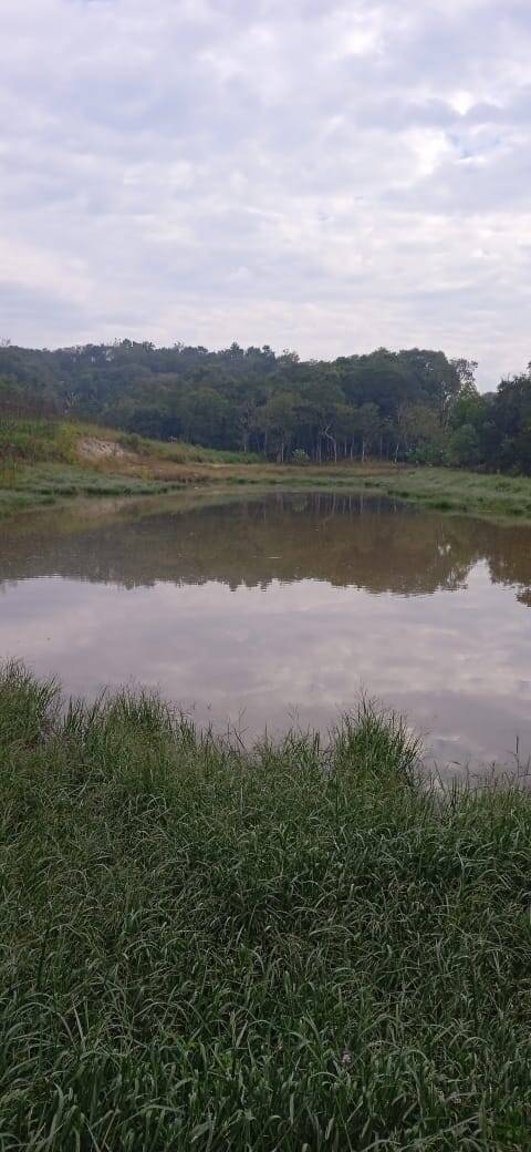 Terreno, 2 hectares - Foto 2