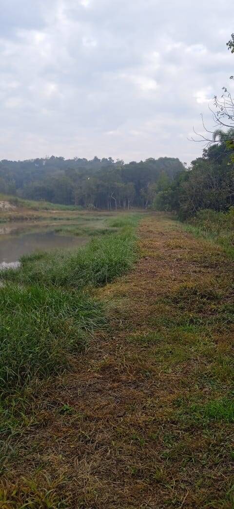 Terreno, 2 hectares - Foto 13