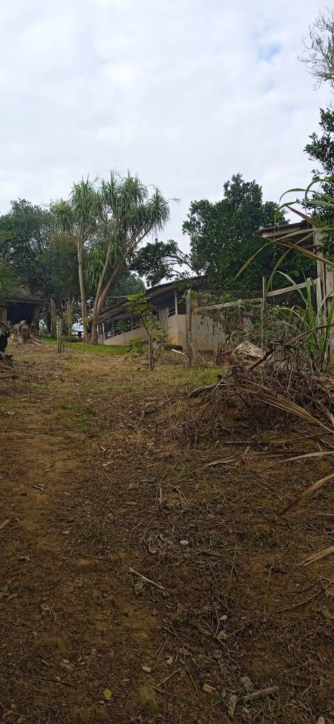 Terreno, 2 hectares - Foto 14