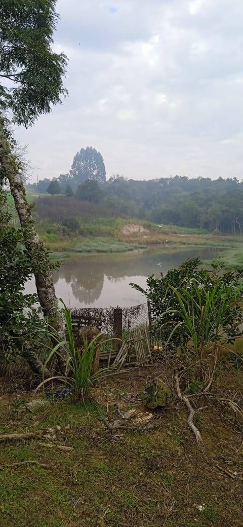 Terreno, 2 hectares - Foto 15