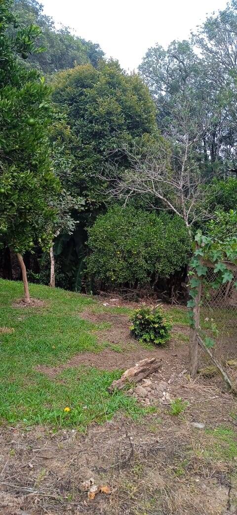 Terreno, 2 hectares - Foto 17