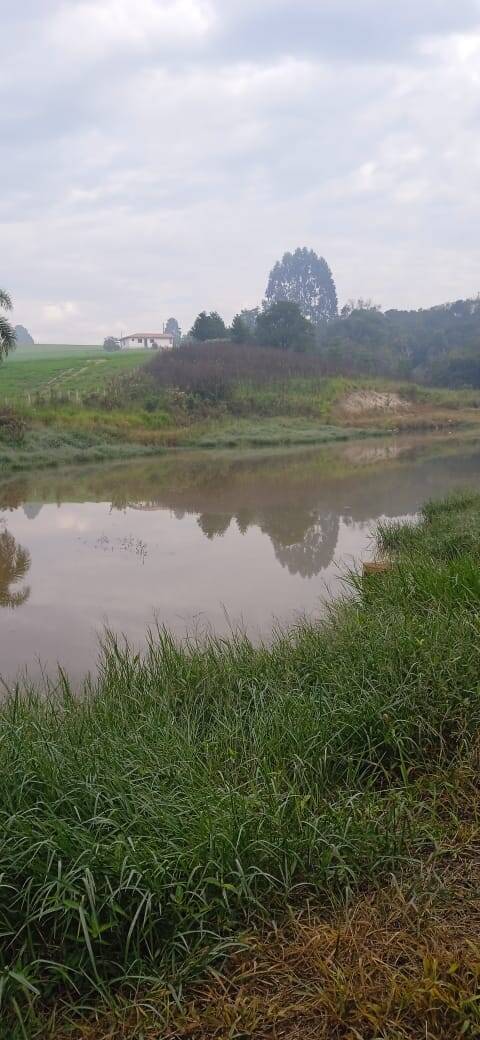 Terreno, 2 hectares - Foto 16