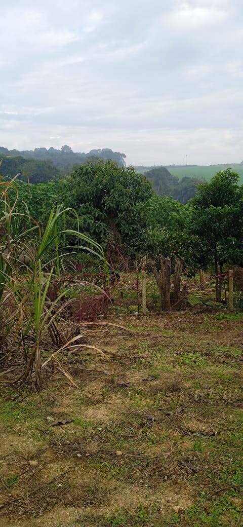 Terreno, 2 hectares - Foto 20