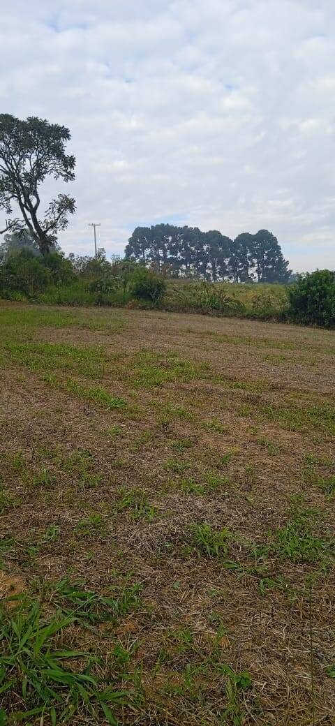 Terreno, 2 hectares - Foto 21