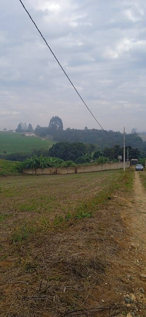 Terreno, 2 hectares - Foto 3