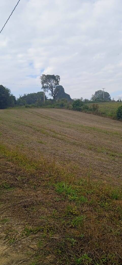 Terreno, 2 hectares - Foto 23