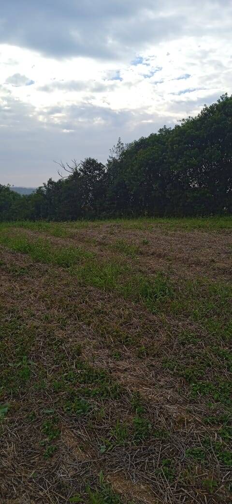 Terreno, 2 hectares - Foto 25