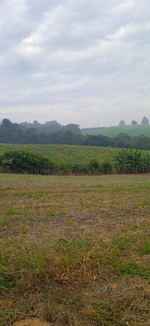 Terreno, 2 hectares - Foto 26