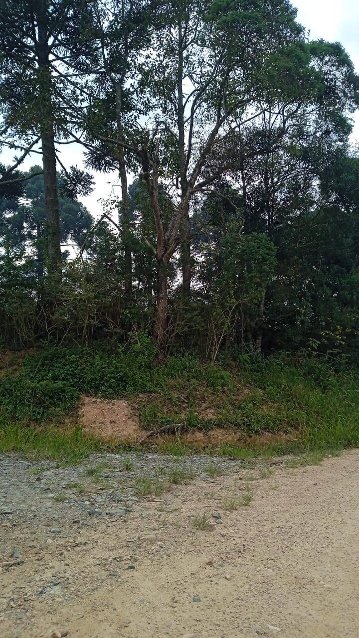 Terreno, 2 hectares - Foto 27