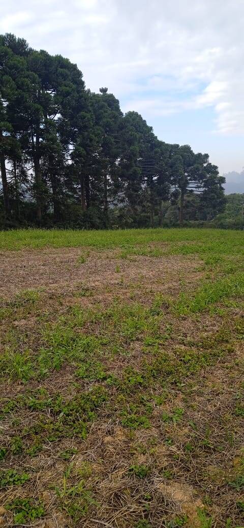 Terreno, 2 hectares - Foto 28