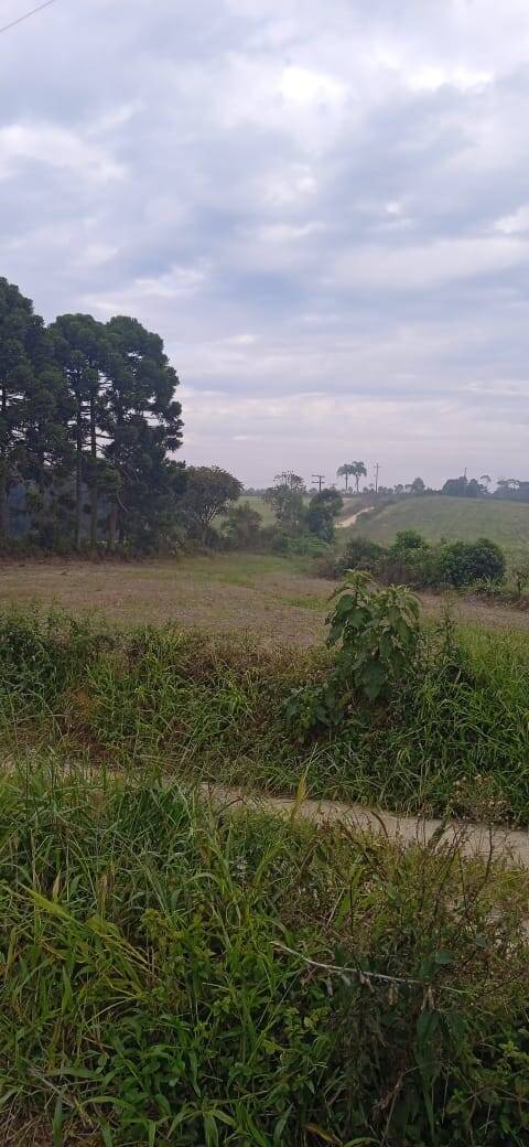 Terreno, 2 hectares - Foto 29