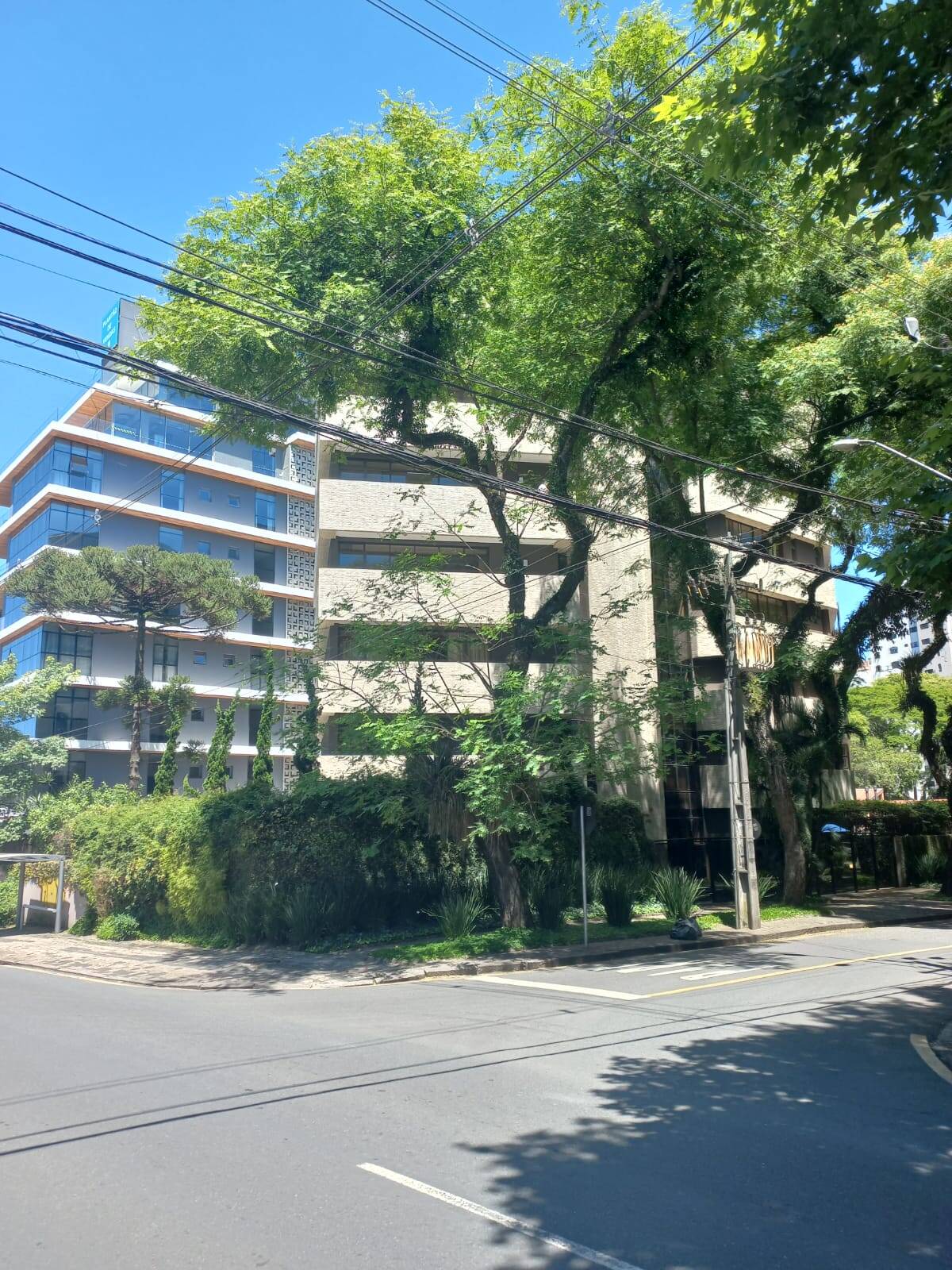 Apartamento, 3 quartos, 480 m² - Foto 1