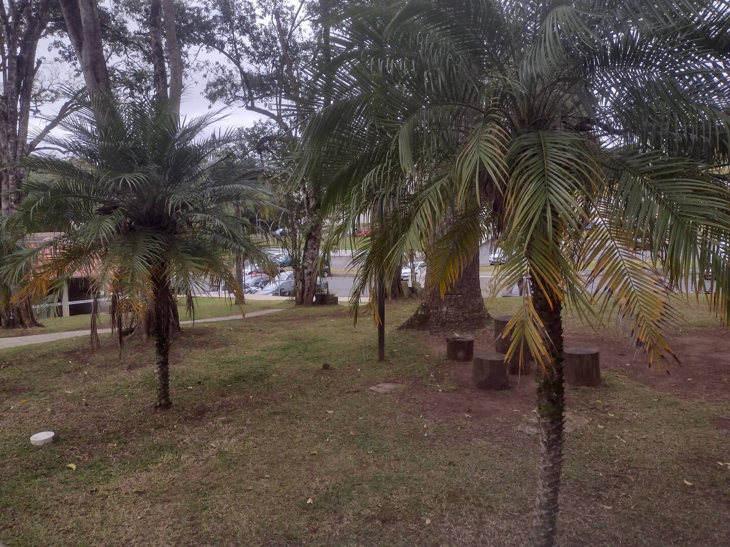 Apartamento, 2 quartos, 44 m² - Foto 21