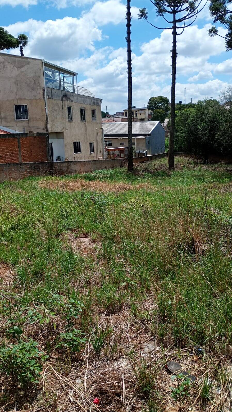 Terreno, 1567 m² - Foto 1