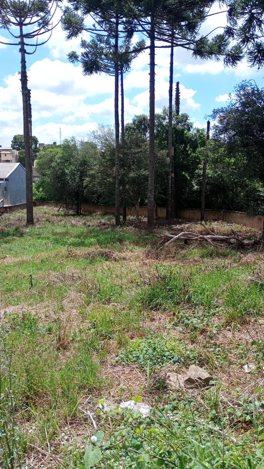 Terreno, 1567 m² - Foto 2