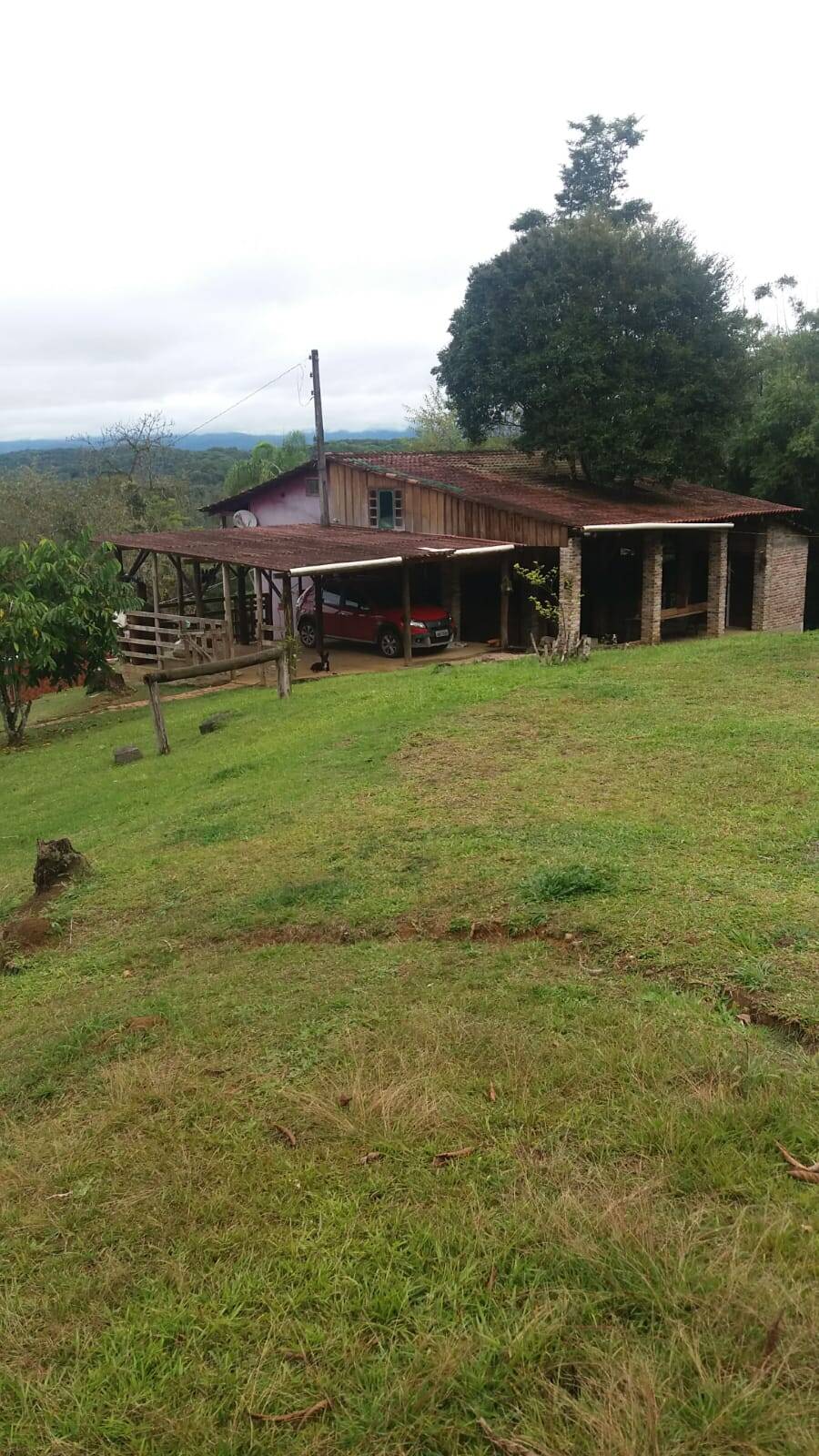 Sítio, 3 quartos, 10 hectares - Foto 4