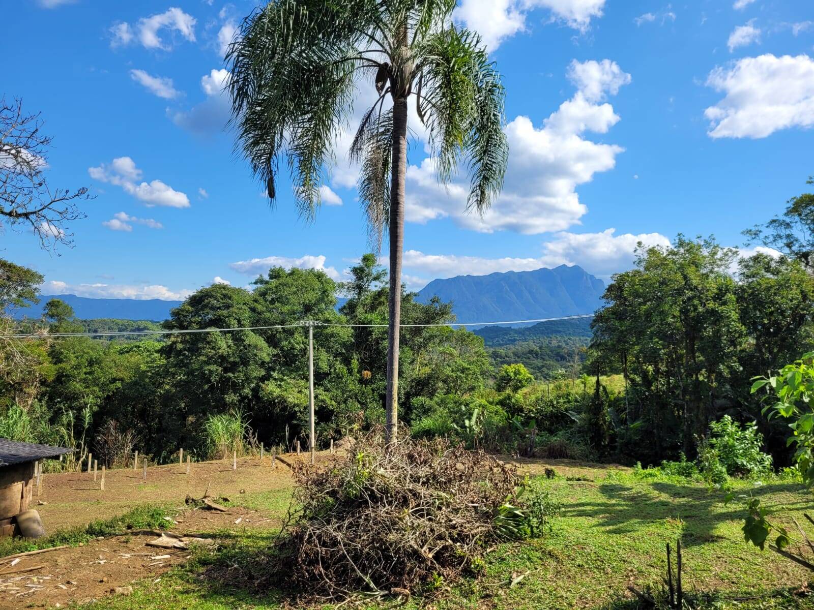 Sítio, 3 quartos, 10 hectares - Foto 3