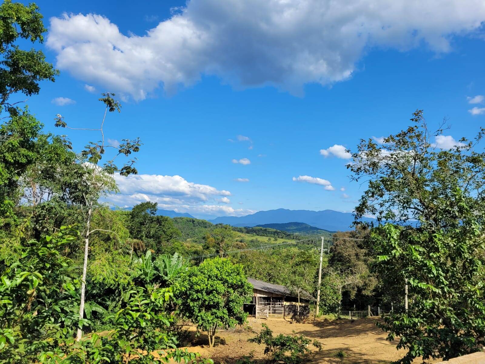 Sítio, 3 quartos, 10 hectares - Foto 6