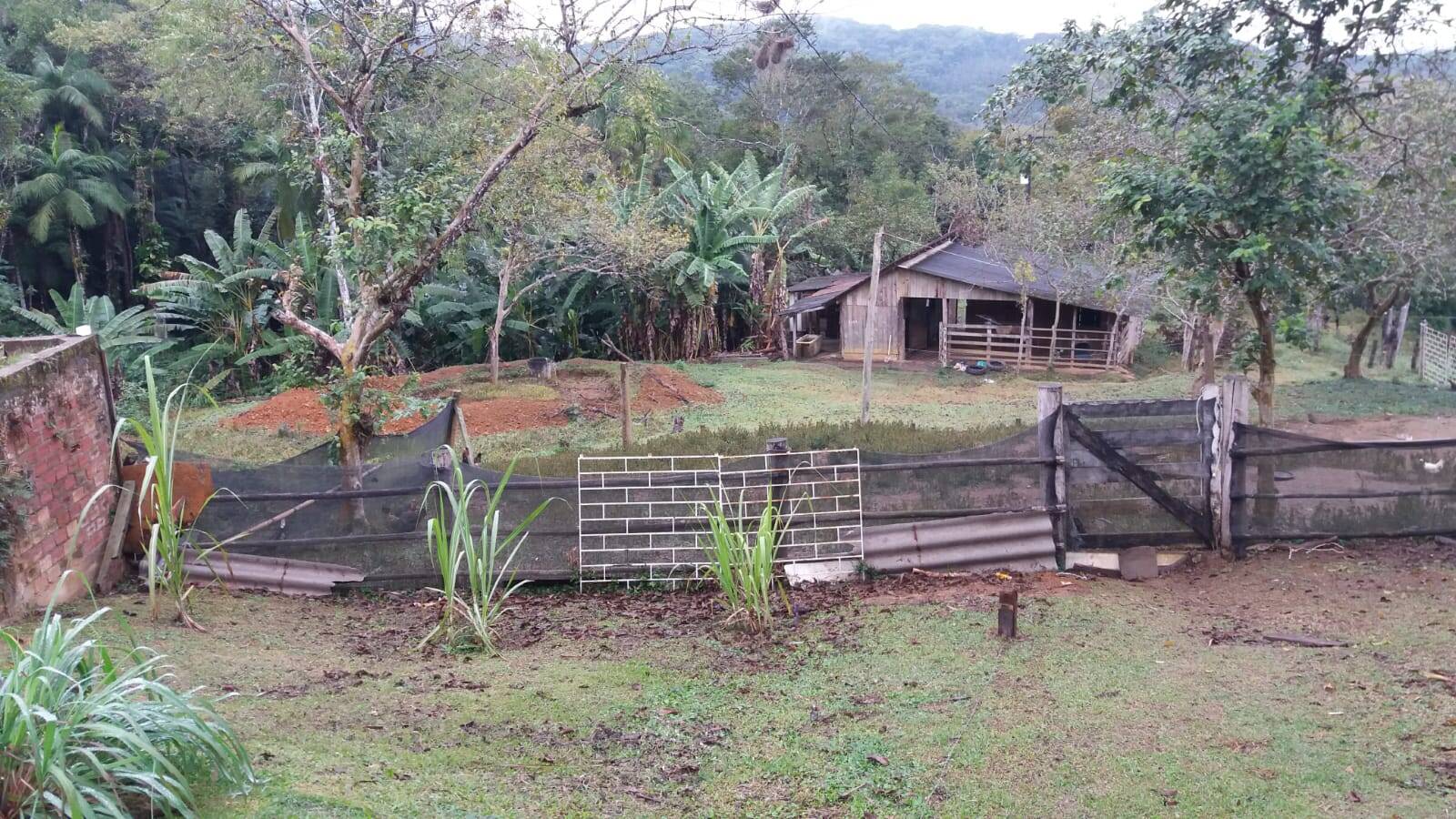 Sítio, 3 quartos, 10 hectares - Foto 12