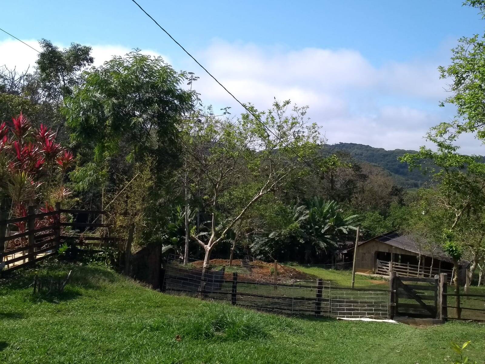 Sítio, 3 quartos, 10 hectares - Foto 13