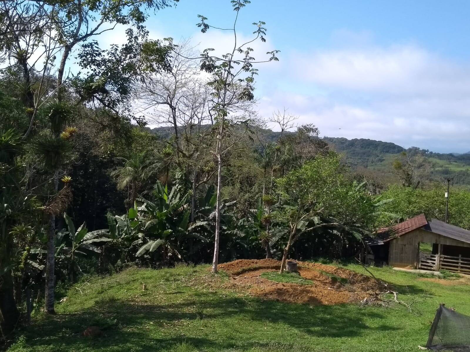 Sítio, 3 quartos, 10 hectares - Foto 16