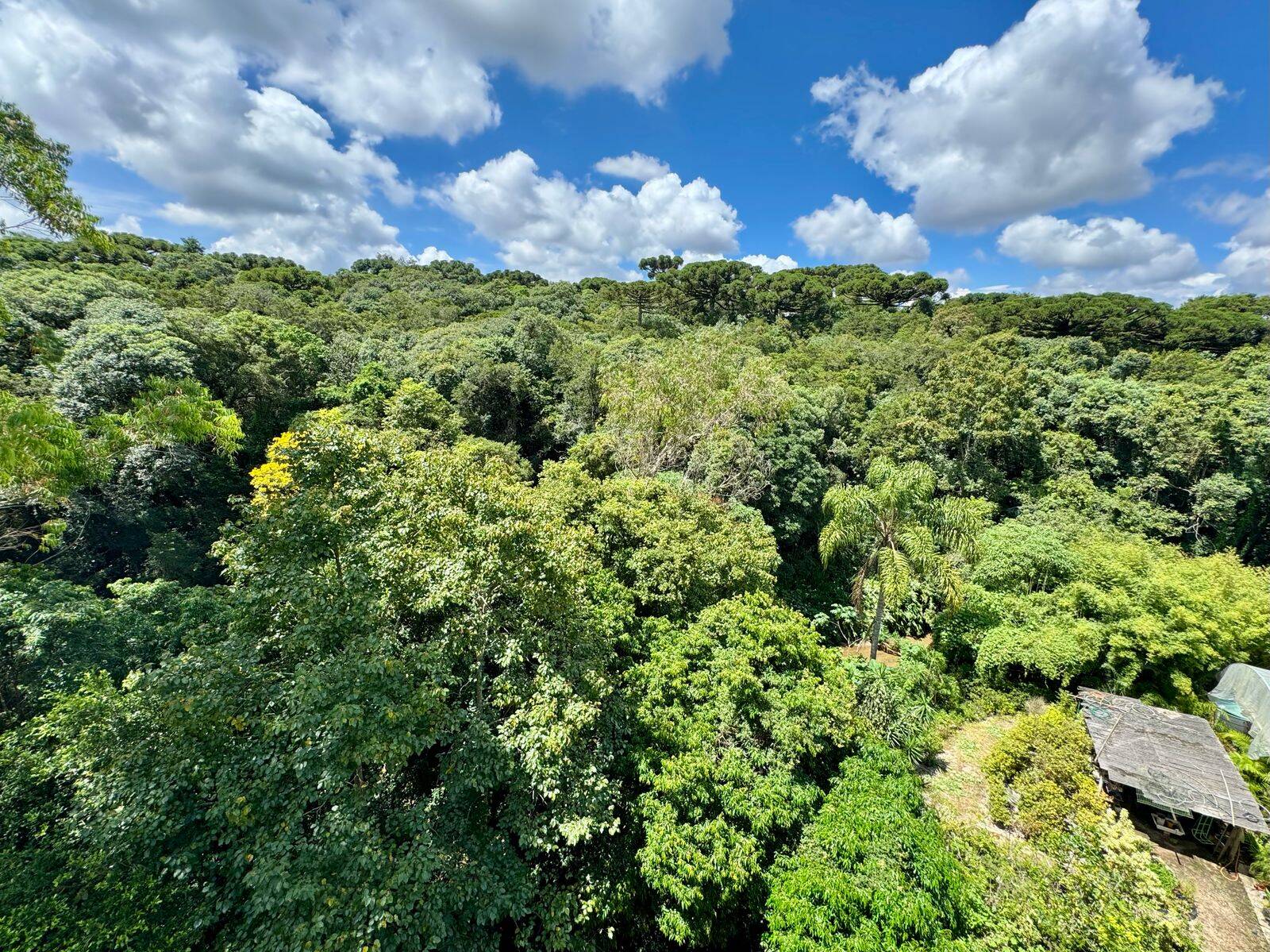 Cobertura, 2 quartos, 116 m² - Foto 20