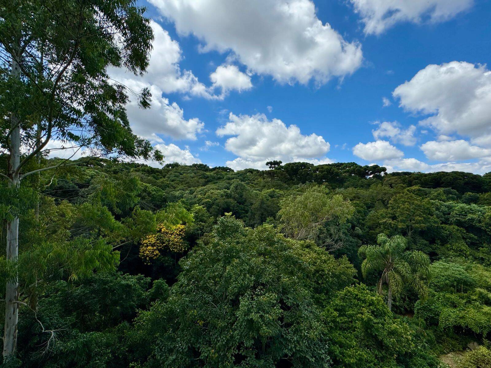 Cobertura, 2 quartos, 116 m² - Foto 22