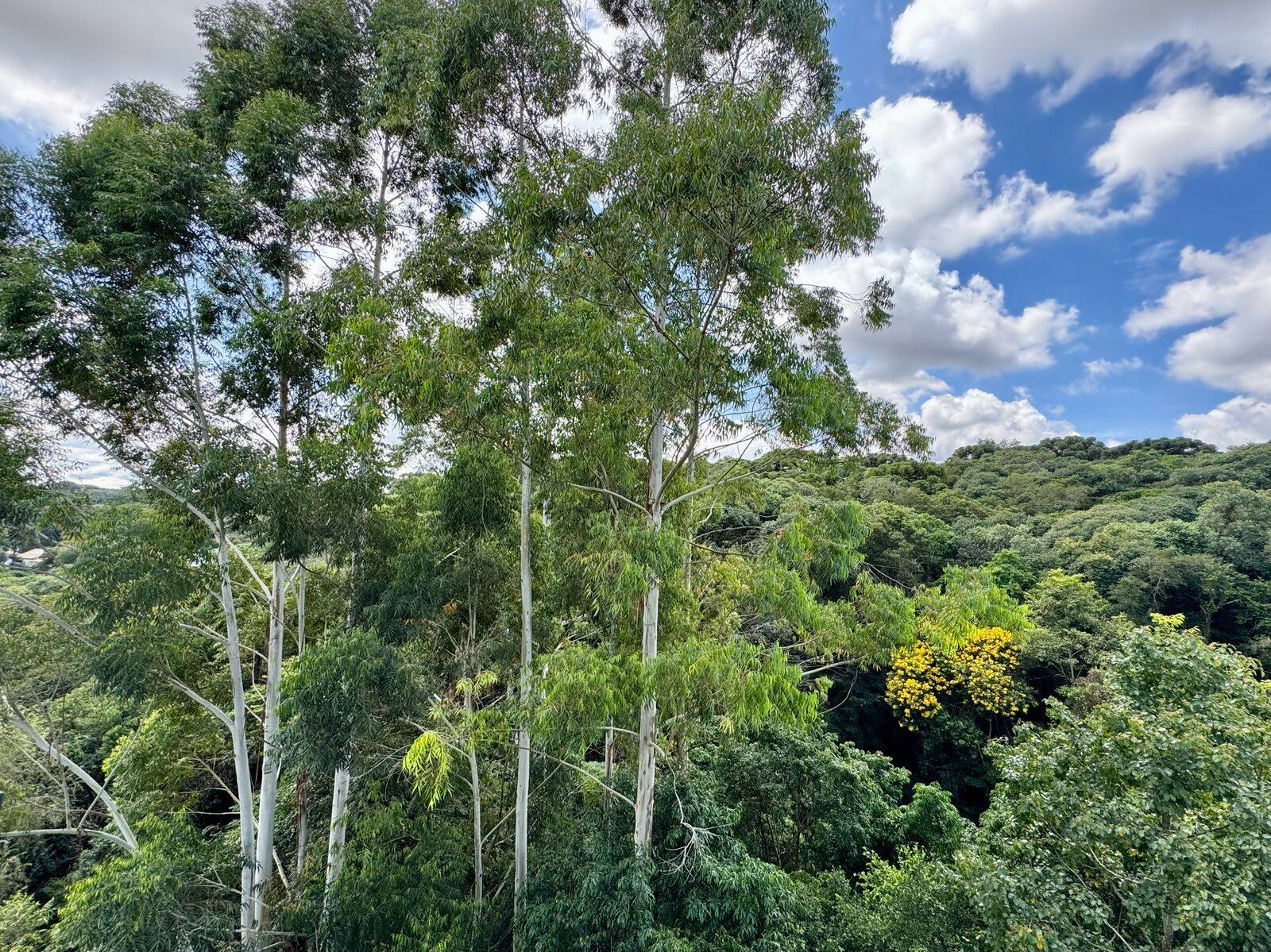 Cobertura, 2 quartos, 116 m² - Foto 21