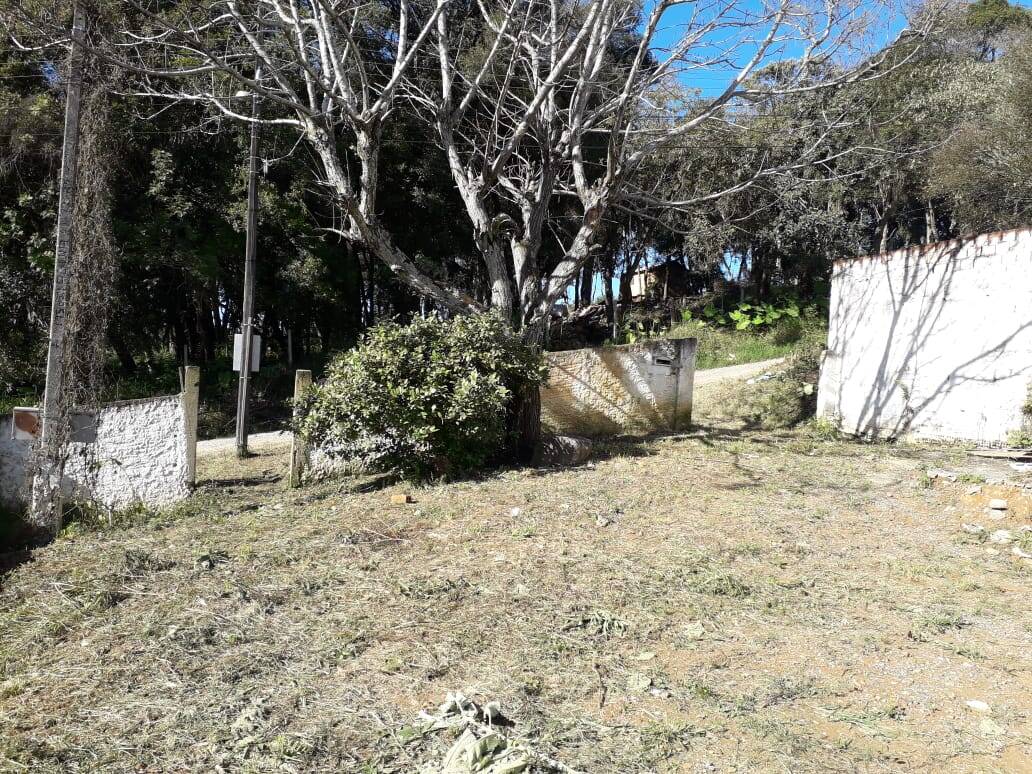 Terreno, 386 m² - Foto 4