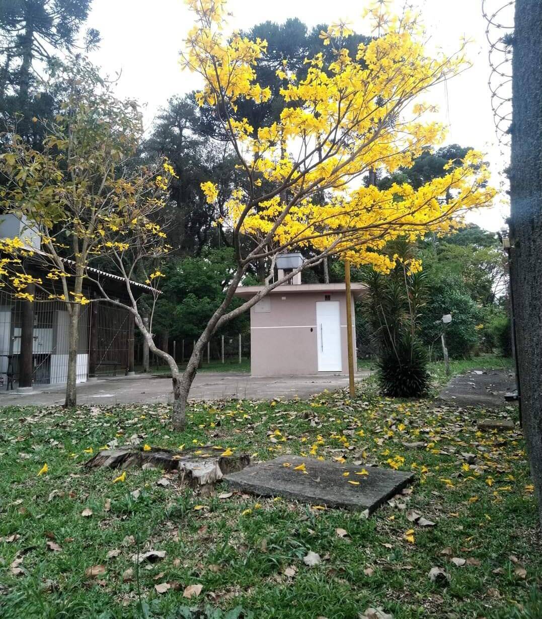 Apartamento, 3 quartos, 56 m² - Foto 12