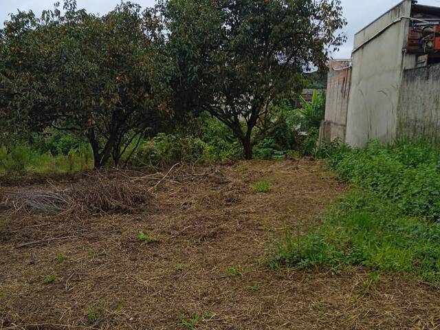 Área para Venda em Curitiba - 4