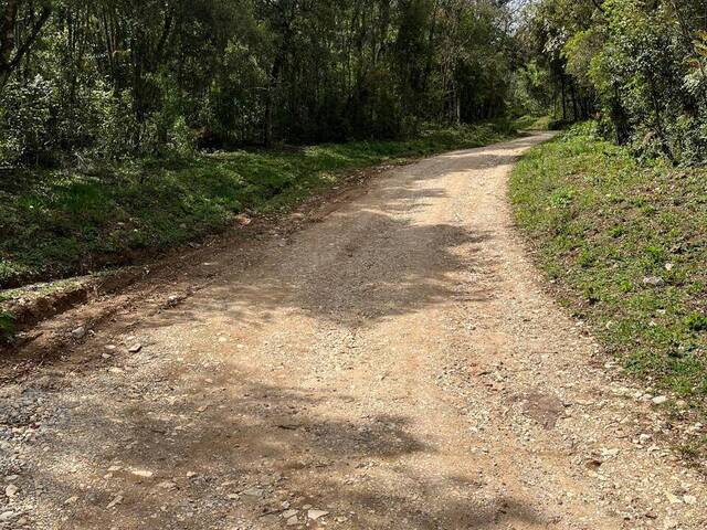 #RR0002_25 - Chácara para Venda em Colombo - PR - 2