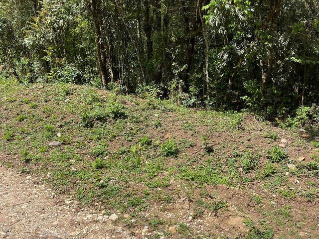 #RR0002_25 - Chácara para Venda em Colombo - PR - 3