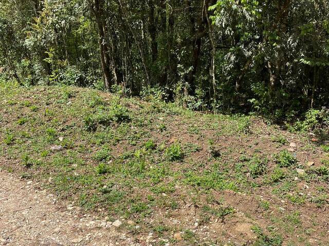 #R02_24 - Chácara para Venda em Colombo - PR - 3