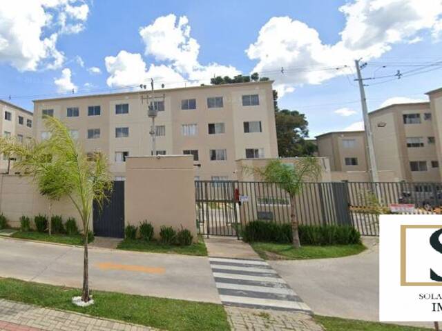 Venda em Colônia Rio Grande - São José dos Pinhais