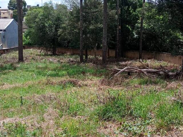 #T006_25 - Terreno para Venda em Fazenda Rio Grande - PR - 2