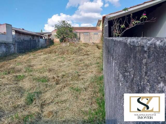 #T007_25 - Terreno para Venda em Curitiba - PR - 3