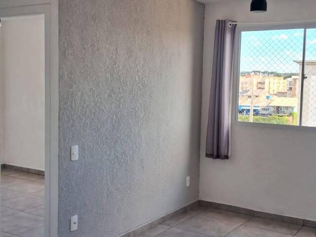 Apartamento para Venda em São José dos Pinhais - 4
